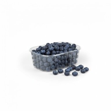 PET indeliai su skylutėmis F250/I49L 250gr (2300)(192) PET indeliai su skylutėmis F250/I49L 250gr (2300)(192)